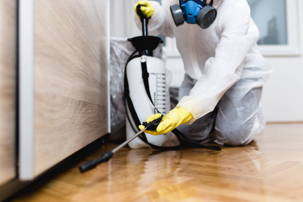 Best Wasp Removal Services  in Myers Corner, NY