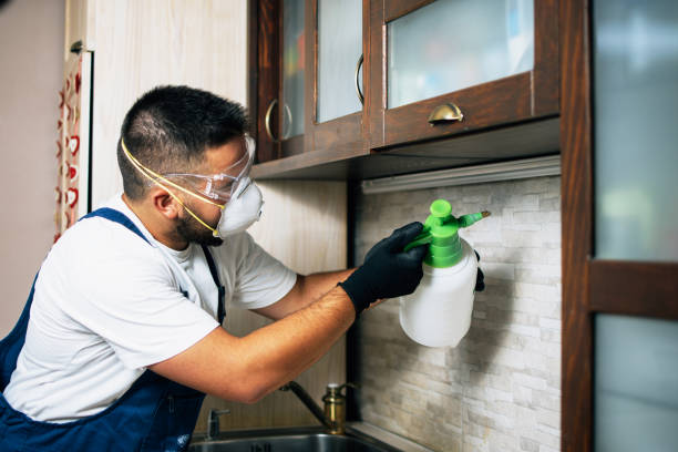 Best Pest Prevention Services  in Myers Corner, NY