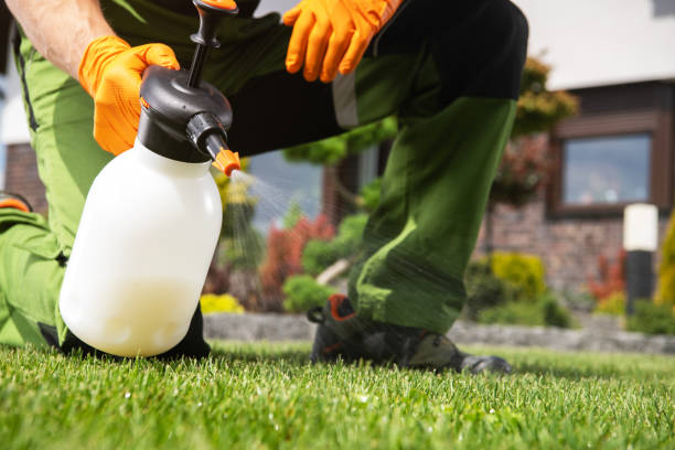 Best Pest Inspection Near Me  in Myers Corner, NY