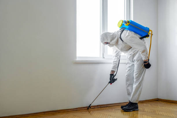 Best Mosquito Control Services  in Myers Corner, NY