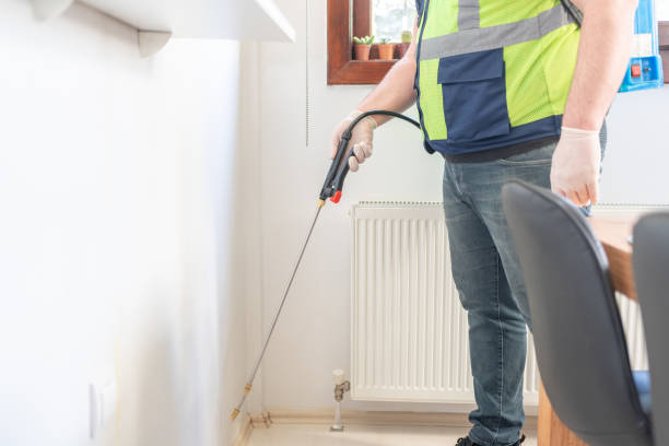Best Local Pest Control Services  in Myers Corner, NY
